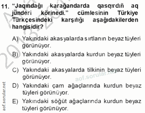 11. soru: "Jaqindağı karağandarda gasqirdın aq jünderi körinedi." cümlesinin Türkiye Türkçesindeki karşılığı aşağıdakilerden ha…