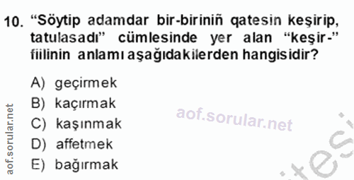 10. soru: "Söytip adamdar bir-biriniñ atesin keşirip, tatulasad" cümlesinde yer alan "keşir-" fiilinin anlamı aşağıdakilerden h…