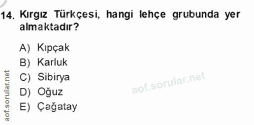 14. soru: Kırgız Türkçesi, hangi lehçe grubunda yer almaktadır? A) Kıpçak B) Karluk C) Sibirya D) Oğuz E) Çağatay