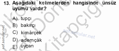13. soru: Aşağıdaki kelimelerden hangisinde ünsüz uyumu vardır? A) tupçı B) bakırçı C) kimårçek 120 rular.net D) ademçåk E) uyçan