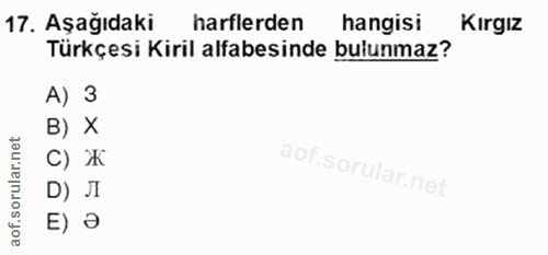 17. soru: Aşağıdaki harflerden hangisi Kirgiz Türkçesi Kiril alfabesinde bulunmaz? A) 3 B) X с) ж D) Л E) a