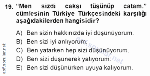 19. soru: "Men sizdi cakşı tüşünüp catam." cümlesinin Türkiye Türkçesindeki karşılığı aşağıdakilerden hangisidir? A) Ben sizin…