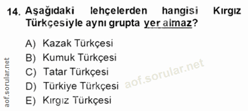 14. soru: Aşağıdaki lehçelerden hangisi Kırgız Türkçesiyle aynı grupta yer almaz? A) Kazak Türkçesi B) Kumuk Türkçesi C) Tatar…