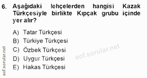 6. soru: Aşağıdaki lehçelerden hangisi Kazak Türkçesiyle birlikte Kıpçak grubu içinde yer alır? A) Tatar Türkçesi B) Türkiye T…