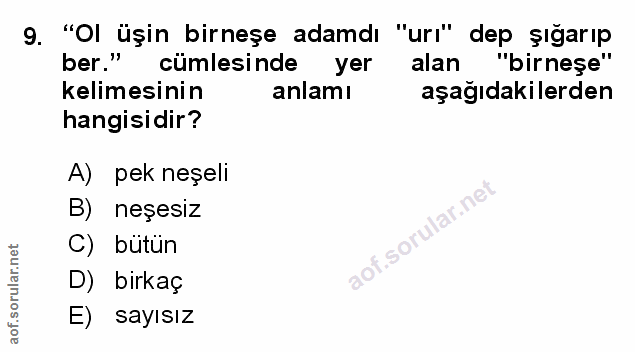 9. soru: "Ol üşin birneşe adamdı "urı" dep şığarıp ber." cümlesinde yer alan "birneşe" kelimesinin anlamı aşağıdakilerden hang…