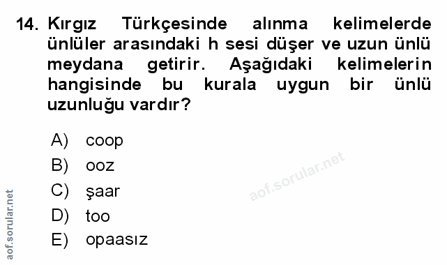 14. soru: Kırgız Türkçesinde alınma kelimelerde ünlüler arasındaki h sesi düşer ve uzun ünlü meydana getirir. Aşağıdaki kelimel…