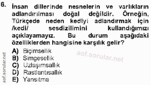 6. soru: İnsan dillerinde nesnelerin ve varlıkların adlandırılması doğal değildir. Örneğin, Türkçede neden kediyi adlandırmak…