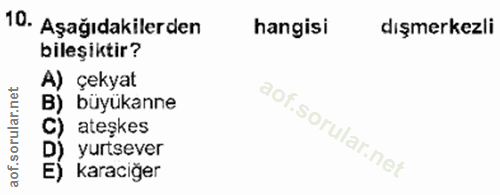 10. soru: Aşağıdakilerden hangisi dışmerkezli bileşiktir? A) çekyat B) büyükanne C) ateşkes D) yurtsever E) karaciğer