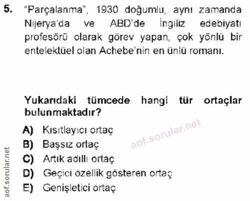 5. soru: "Parçalanma", 1930 doğumlu, aynı zamanda Nijerya'da ve ABD'de ingiliz edebiyatı profesörü olarak görev yapan, çok yön…