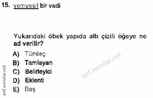 15. soru: yemyeşil bir vadi Yukarıdaki öbek yapıda altı çizili öğeye ne ad verilir? A) Tümleç B) Tamlayan C) Belirleyici D) Ekl…