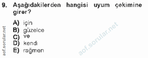 9. soru: Aşağıdakilerden hangisi uyum çekimine girer? A) için • güzelce ve E) rağmen
