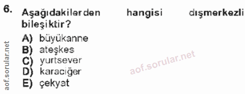 6. soru: Aşağıdakilerden hangisi dışmerkezli bileşiktir? A) büyükanne B) ateşkes C) yurtsever D) karacığer E) çekyat