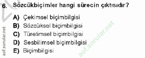 6. soru: Sözcükbiçimler hangi sürecin çıktısıdır? A) Çekimsel biçimbilgisi B) Sözcüksel biçimbilgisi C) Türetimsel biçimbilgis…