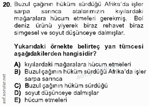 20. soru: Buzul çağının hüküm sürdüğü Afrika'da işler sarpa sarınca atalarımızın kıyılardaki mağaralara hücum etmeleri gerekmiş…