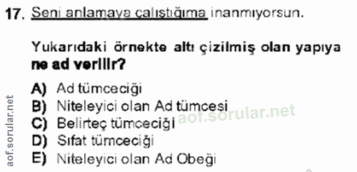 17. soru: Seni anlamaya calıştığıma inanmıyorsun. Yukarıdaki örnekte altı çizilmiş olan yapıya ne ad verilir? A) , Ad tümceciği…