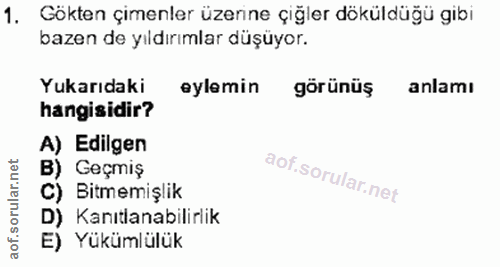 1. soru: Gökten çimenler üzerine çiğler döküldüğü gibi bazen de yıldırımlar düşüyor. Yukarıdaki eylemin görünüş anlamı hangisi…