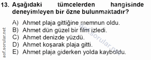 13. soru: Aşağıdaki tümcelerden hangisinde deneyimleyen bir özne bulunmaktadır? A) Ahmet plaja gittiğine memnun oldu. B) Ahmet…