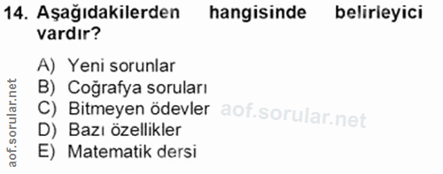 14. soru: Aşağıdakilerden hangisinde belirleyici vardır? A) Yeni sorunlar B) Coğrafya soruları C) Bitmeyen ödevler D) Bazı özel…