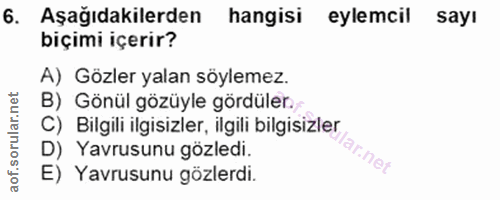 6. soru: Aşağıdakilerden hangisi eylemcil sayı biçimi içerir? A) Gözler yalan söylemez. B) Gönül gözüyle gördüler. C) Bilgili…