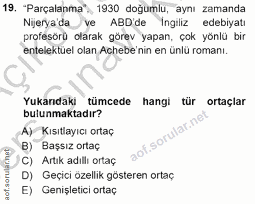 19. soru: "Parçalanma" , 1930 doğumlu, aynı zamanda Nijerya'da ve ABD'de İngiliz edebiyatı profesörü olarak görev yapan, çok yö…