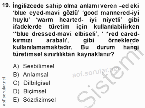 19. soru: ingilizcede sahip olma anlamı veren -ed eki 'blue eyed-mavi gözlü' 'good mannered-iyi huylu 'warm hearted- iyi niyetl…