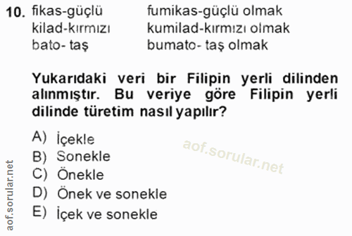 10. soru: fikas-güçlü fumikas-güçlü olmak kilad-kırmızı kumilad-kırmızı olmak bato-taş bumato- taş olmak Yukarıdaki veri bir Fi…