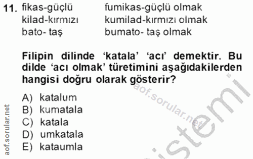 11. soru: fikas-güçlü fumikas-güçlü olmak kilad-kırmızı kumilad-kırmızı olmak bato-taş bumato- taş olmak Filipin dilinde 'katal…