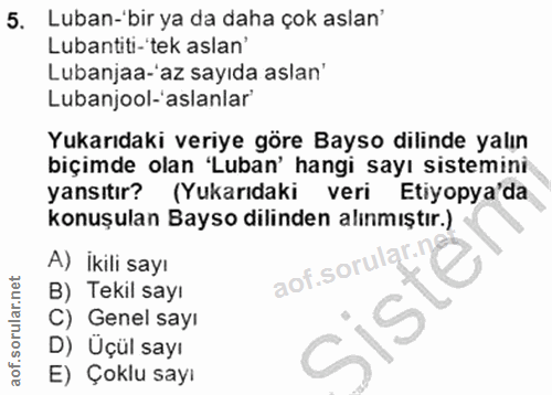 5. soru: Luban-'bir ya da daha çok aslan' Lubantiti-'tek aslan' Lubanjaa-'az sayıda aslan' Lubanjool-'aslanlar' Yukarıdaki ver…