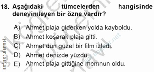 18. soru: Aşağıdaki tümcelerden hangisinde deneyimieyen bir özne vardır? A) Ahmet plaja giderken yolda kayboldu. B) Ahmet koşar…
