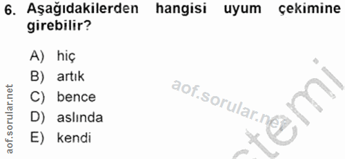 6. soru: Aşağıdakilerden hangisi uyum çekimine girebilir? A) hiç B) artık C) bence aof.sorular.neg D) aslında E) kendi