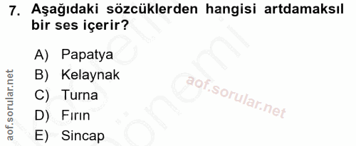 7. soru: Aşağıdaki sözcüklerden hangisi artdamaksıl bir ses içerir? A) Papatya B) Kelaynak C) Turna D) Fırın E) Sincap