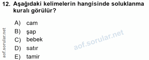 12. soru: Aşağıdaki kelimelerin hangisinde soluklanma kuralı görülür? A) cam B) şap C) bebek D) satir E) tamir