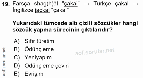 19. soru: Farsça shag(h)āl "çakal" → Türkçe çakal → İngilizce jackal "çakal" Yukarıdaki tümcede altı çizili sözcükler hangi söz…