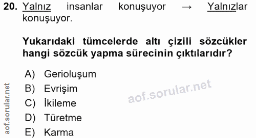 20. soru: Yalnız insanlar konuşuyor Yalnızlar konuşuyor. Yukarıdaki tümcelerde altı çizili sözcükler hangi sözcük yapma sürecin…
