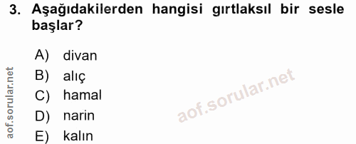 3. soru: Aşağıdakilerden hangisi gırtlaksıl bir sesle başlar? A) divan B) aliç C) hamal D) narin E) kalın