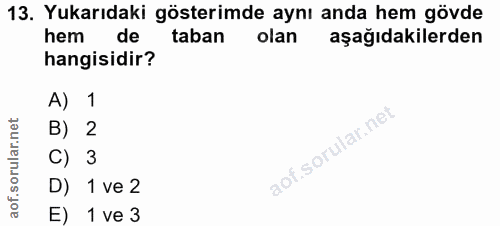 13. soru: Yukarıdaki gösterimde aynı anda hem gövde hem de taban olan aşağıdakilerden hangisidir? A) 1 B) 2 aof.sorular.n C) 3…