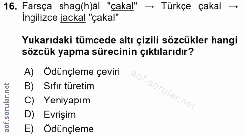 16. soru: Farsça shag(h)āl "çakal" → Türkçe çakal → İngilizce jackal "çakal" Yukarıdaki tümcede altı çizili sözcükler hangi söz…