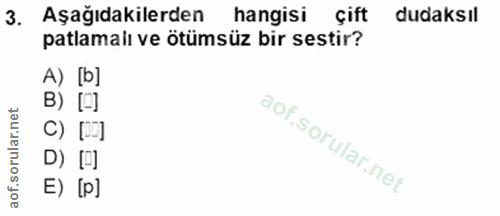 3. soru: Aşağıdakilerden hangisi çift dudaksil patlamalı ve ötümsüz bir sestir? A) [b] B) [•] C) [D] D) A] E) [p]