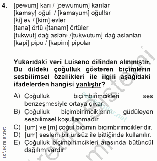 4. soru: [pewum] karı / [pewumum] karılar [kamay] oğul / [kamayum] oğullar [ki] ev / [kim] evler [tana] örtü /[tanam] örtüler…