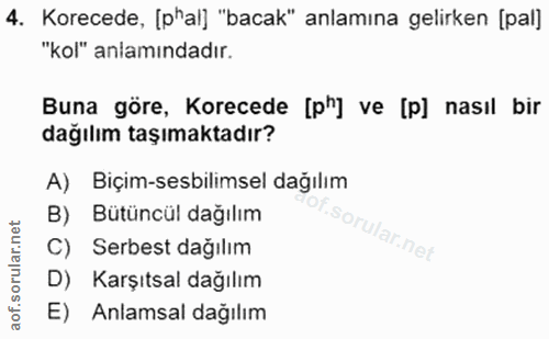4. soru: Korecede, [p"al] "bacak" anlamına gelirken [pal] "kol" anlamındadır. Buna göre, Korecede [p"] ve [p] nasıl bir dağılı…
