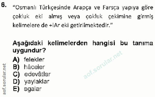 6. soru: "Osmanlı Türkçesinde Arapça ve Farsça yapıya göre çokluk eki almış veya çokluk çekimine girmiş kelimelere de +IAr eki…