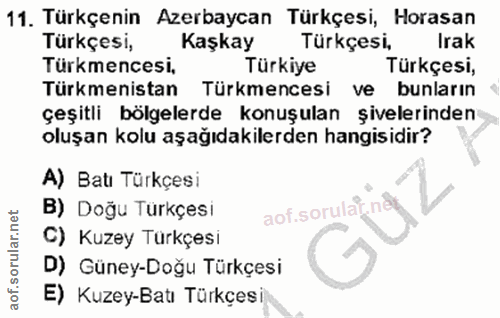 11. soru: Türkçenin Azerbaycan Türkçesi, Horasan Türkçesi, Kaşkay Türkçesi, Irak Türkmencesi, Türkiye Türkçesi, Türkmenistan Tü…