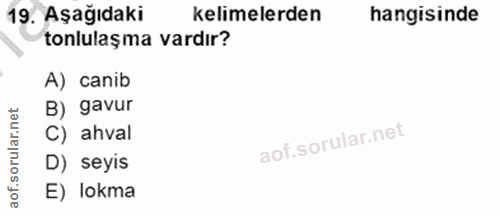 19. soru: Aşağıdaki kelimelerden hangisinde tonlulaşma vardır? A) canib B) gavur rular.net C) ahval D) seyis aof. E) lokma