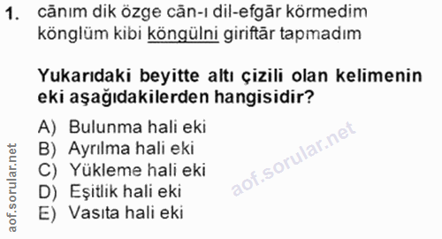 1. soru: cănım dik özge căn-ı dil-efgăr körmedim könglüm kibi köngülni giriftär tapmadım Yukarıdaki beyitte altı çizili olan k…