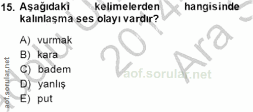15. soru: Aşağıdaki kelimelerden hangisinde kalınlaşma ses olayı vardır? A) vurmak B) kara C) badem D) yanlış E) put