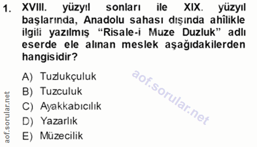 1. soru: XVIII. yüzyıl sonları ile ile XIX. yüzyıl başlarında, Anadolu sahası dışında ahilikle ilgili yazılmış "Risale-i Muze…