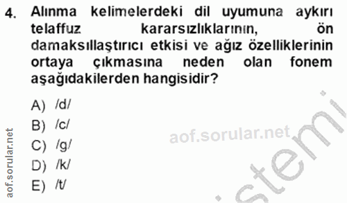 4. soru: Alınma kelimelerdeki dil uyumuna aykırı telaffuz kararsızlıklarının, damaksıllaştırıcı etkisi ve ağız özelliklerinin…