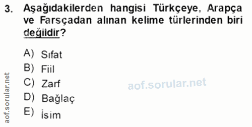 3. soru: Aşağıdakilerden hangisi Türkçeye, Arapça ve Farsçadan alınan kelime türlerinden biri değildir? A) Sıfat B) Fill rular…