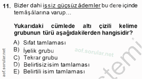 11. soru: Bizler dahi işsiz güçsüz ådemler bu dere içinde temâşlarına varup... Yukarıdaki cümlede altı çizili kelime grubunun t…