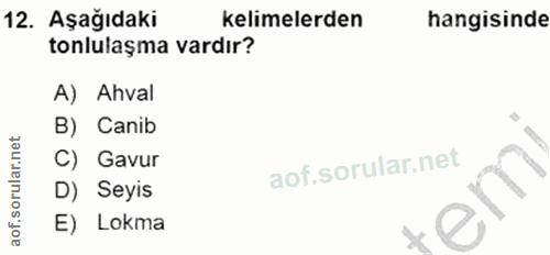 12. soru: Aşağıdaki kelimelerden hangisinde tonlulaşma vardır? A) Ahval B) Canib C) Gavur D) Seyis E) Lokma
